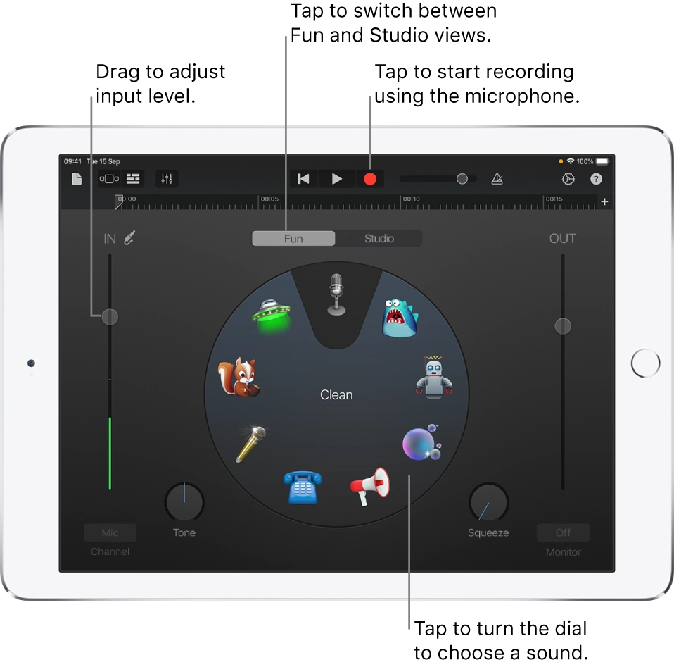 Fun settings in Garageband Audio Recorder on iPad